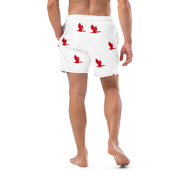 Men's swim trunks - tori heron