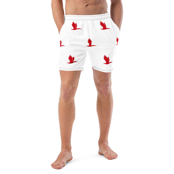 Men's swim trunks - tori heron